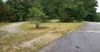 155 Emily Dr photo